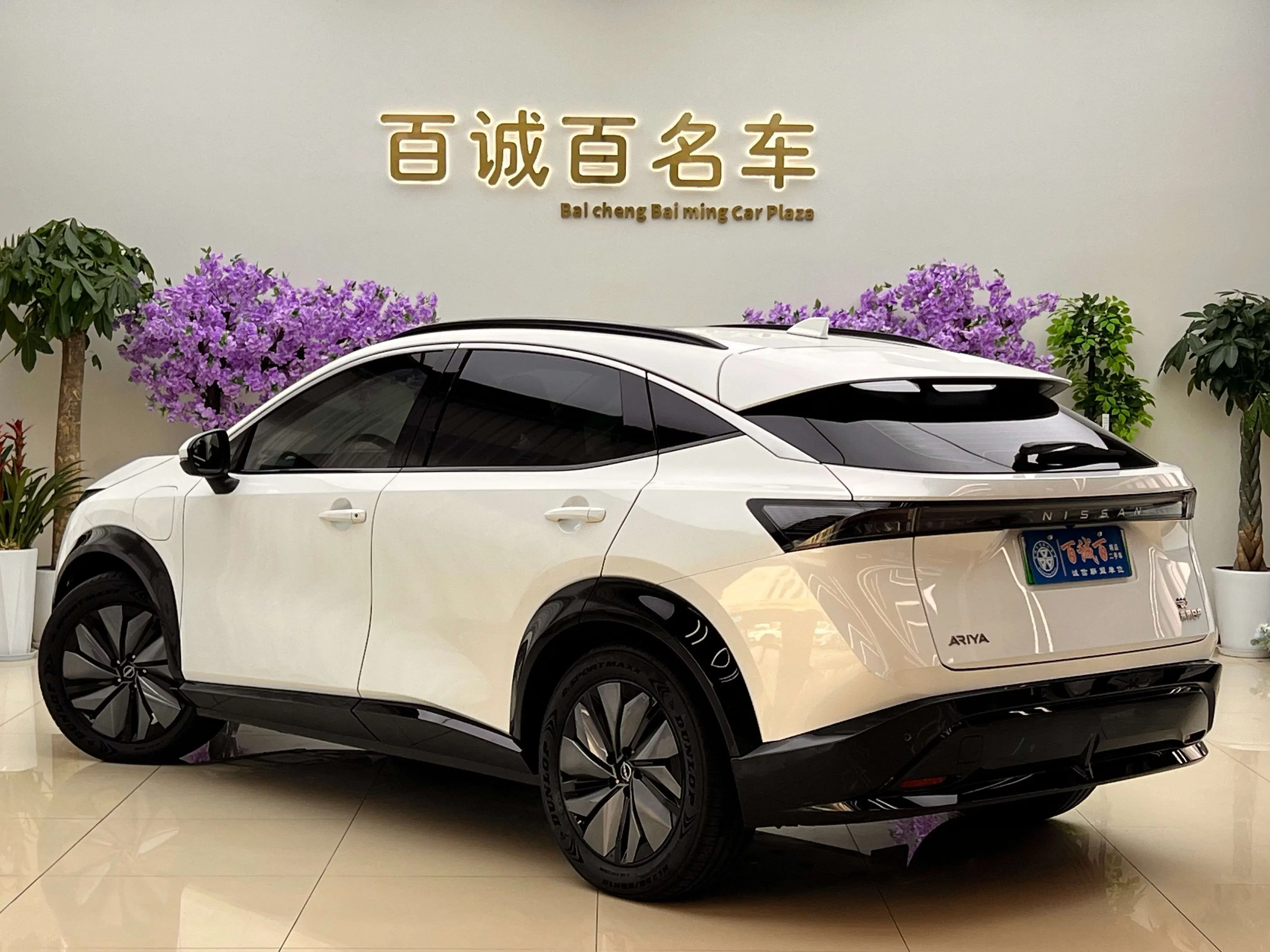 catalog-car-3