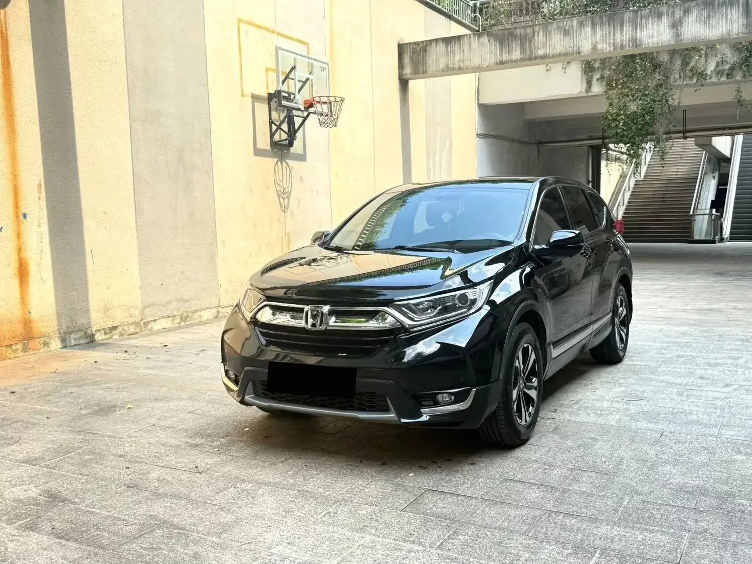 catalog-car-1