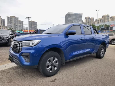 Great Wall Poer (gun)