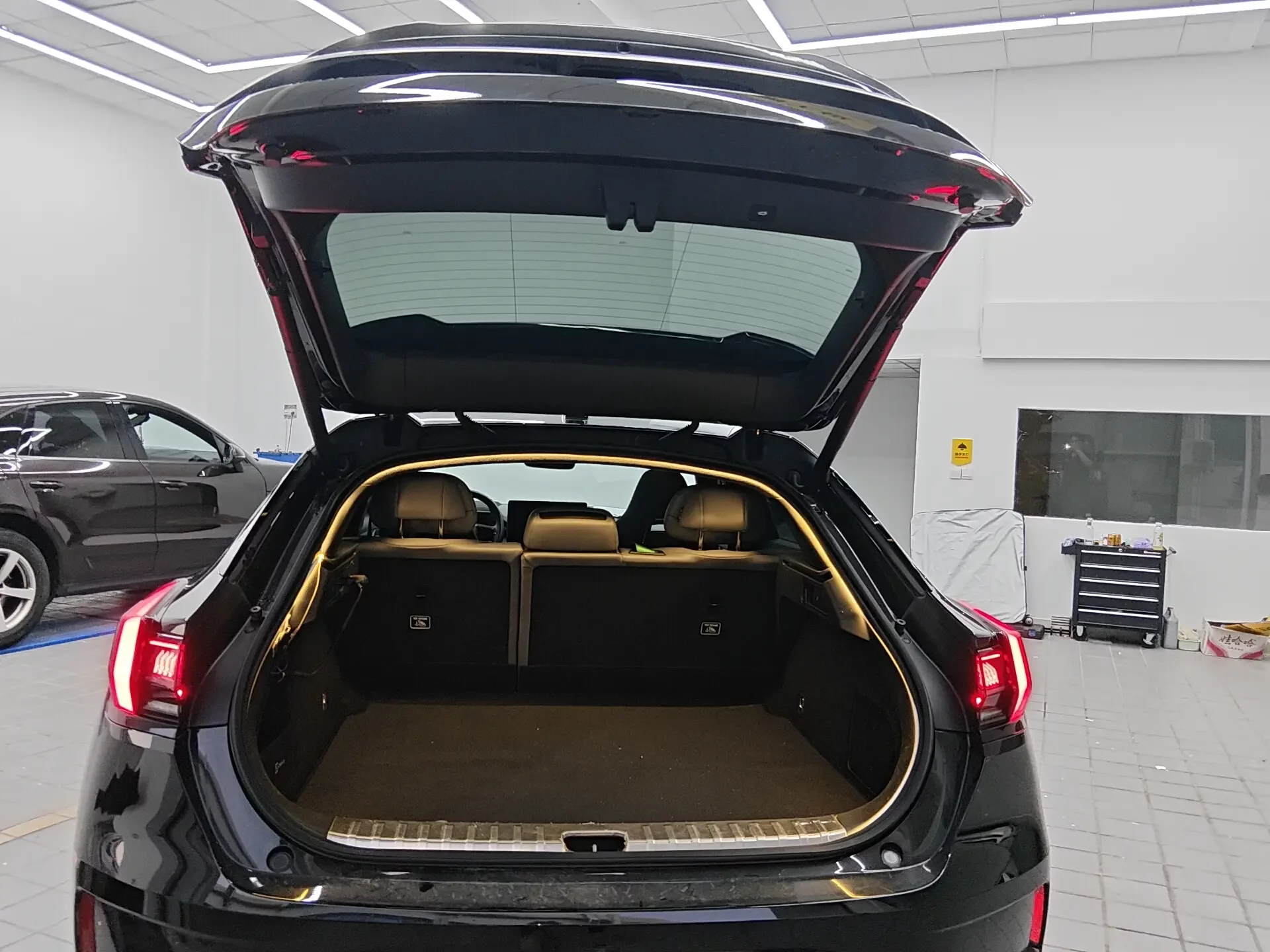catalog-car-25