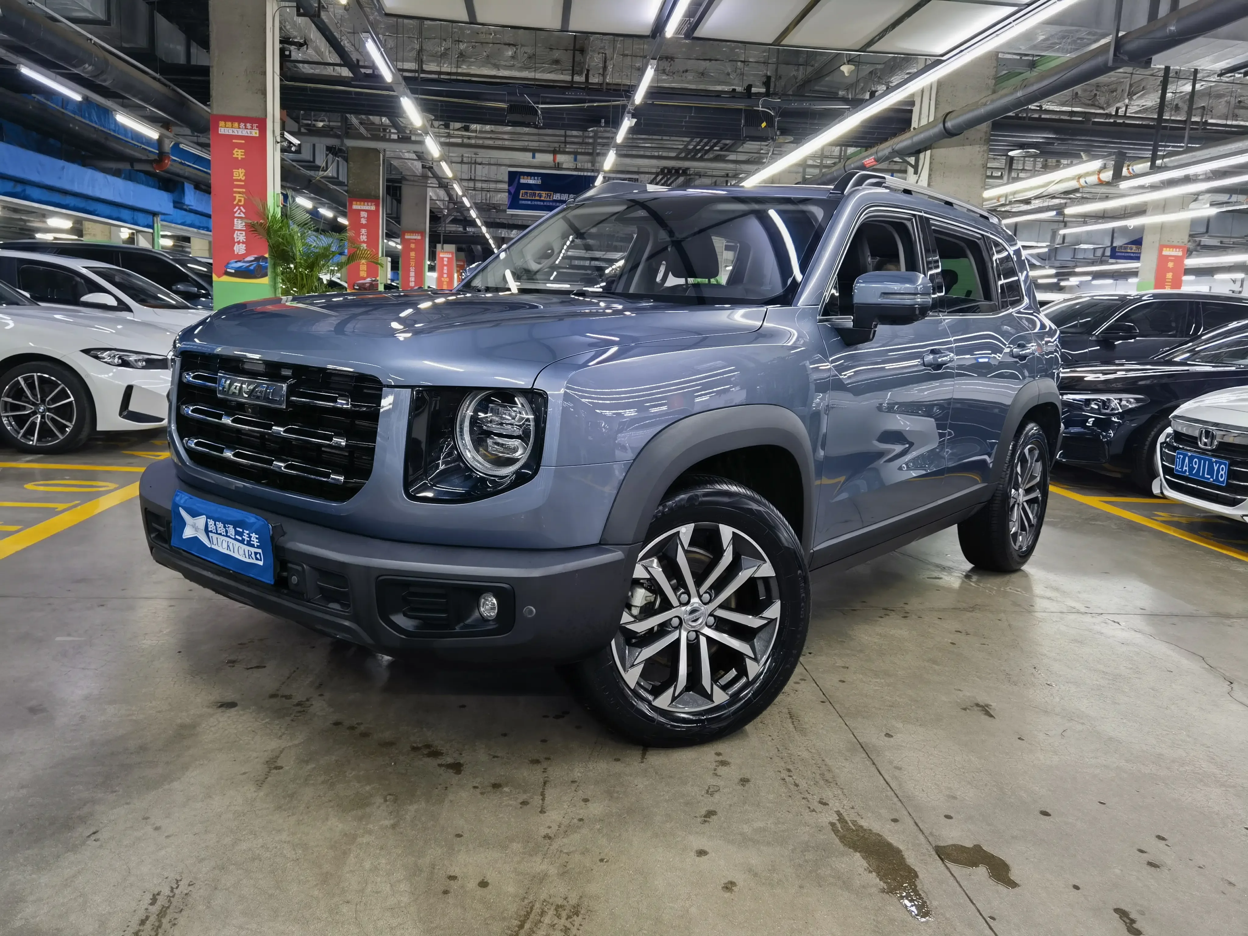 Haval Dargo