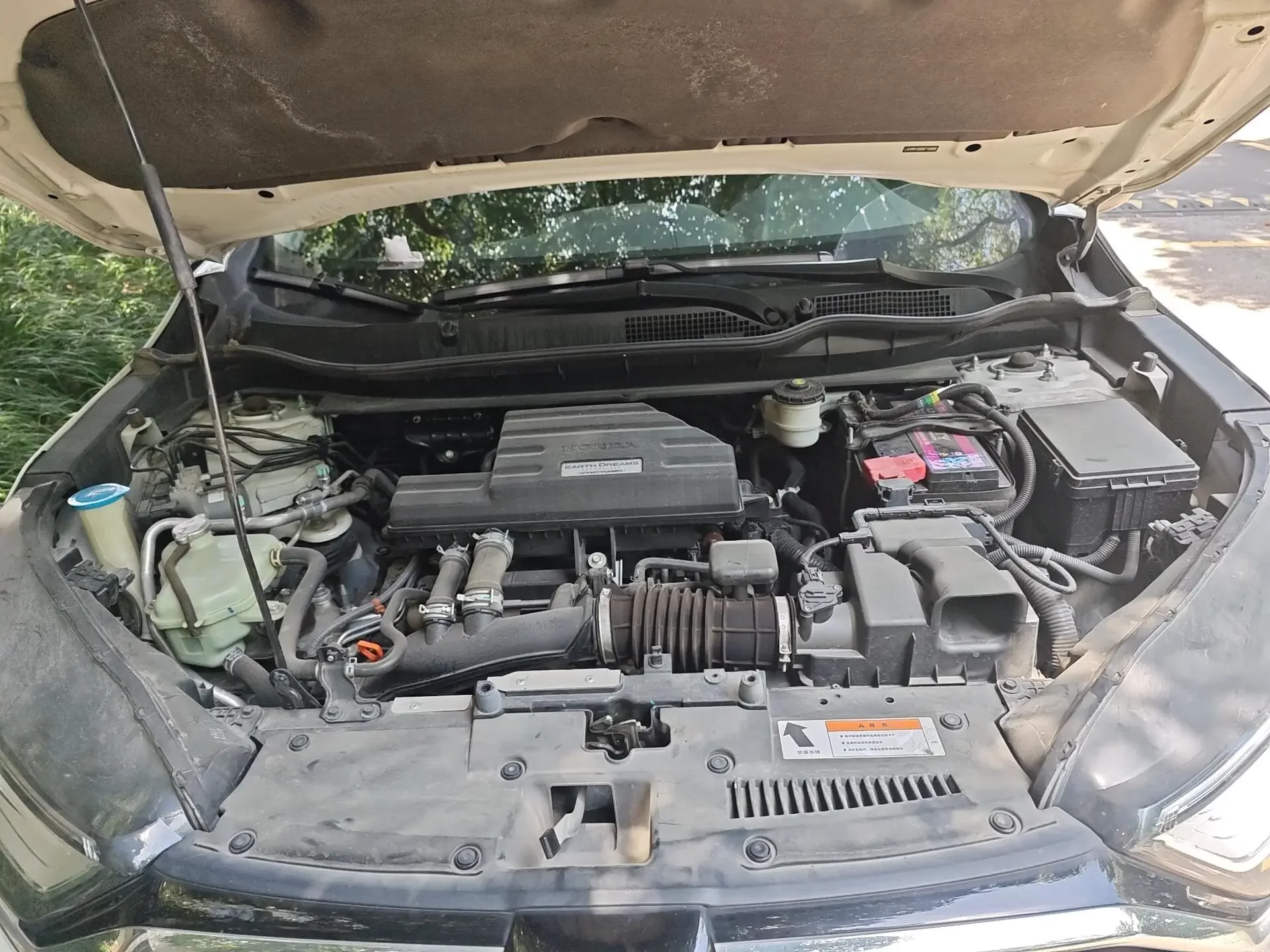 catalog-car-20