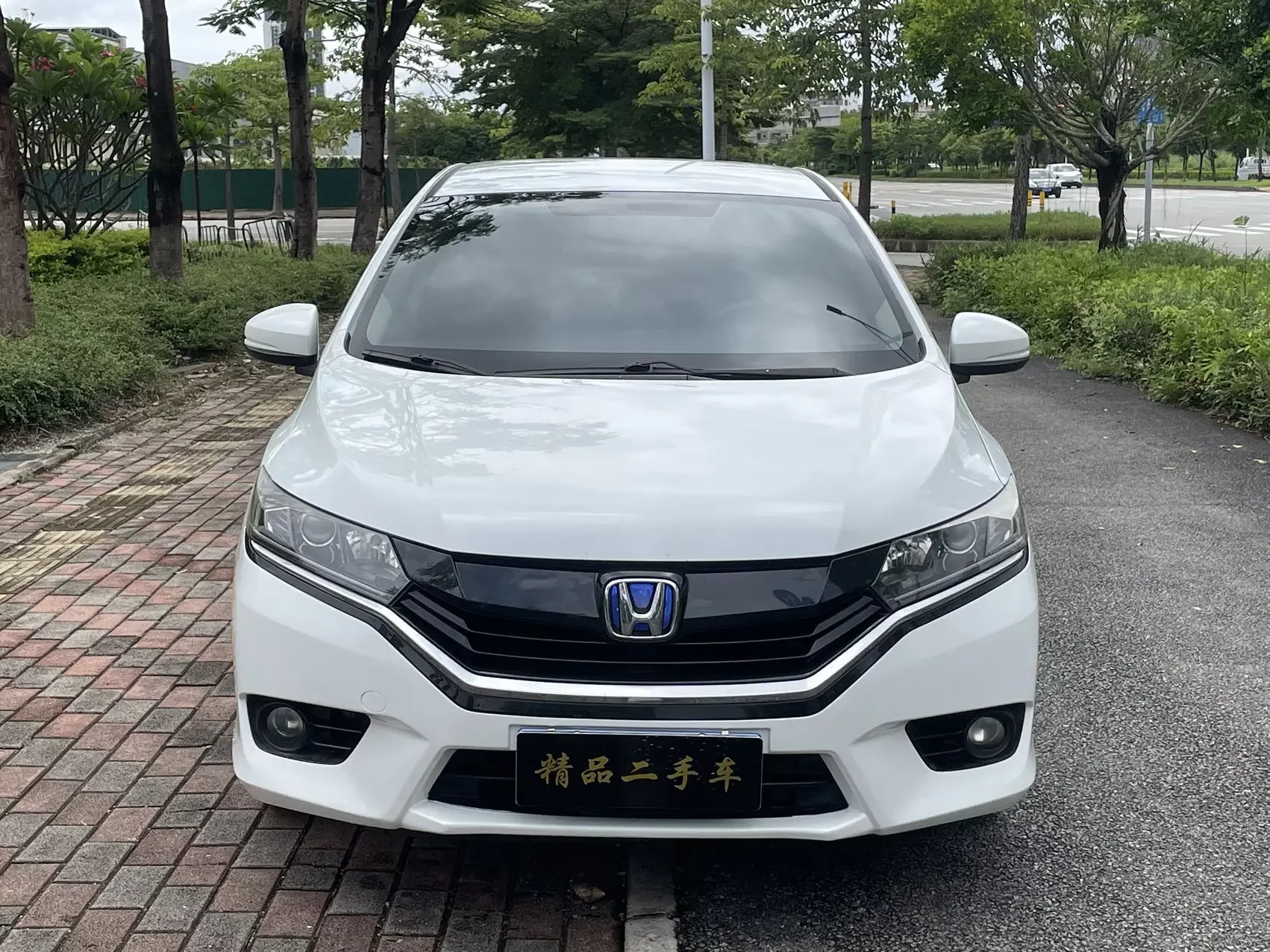 Honda Gray