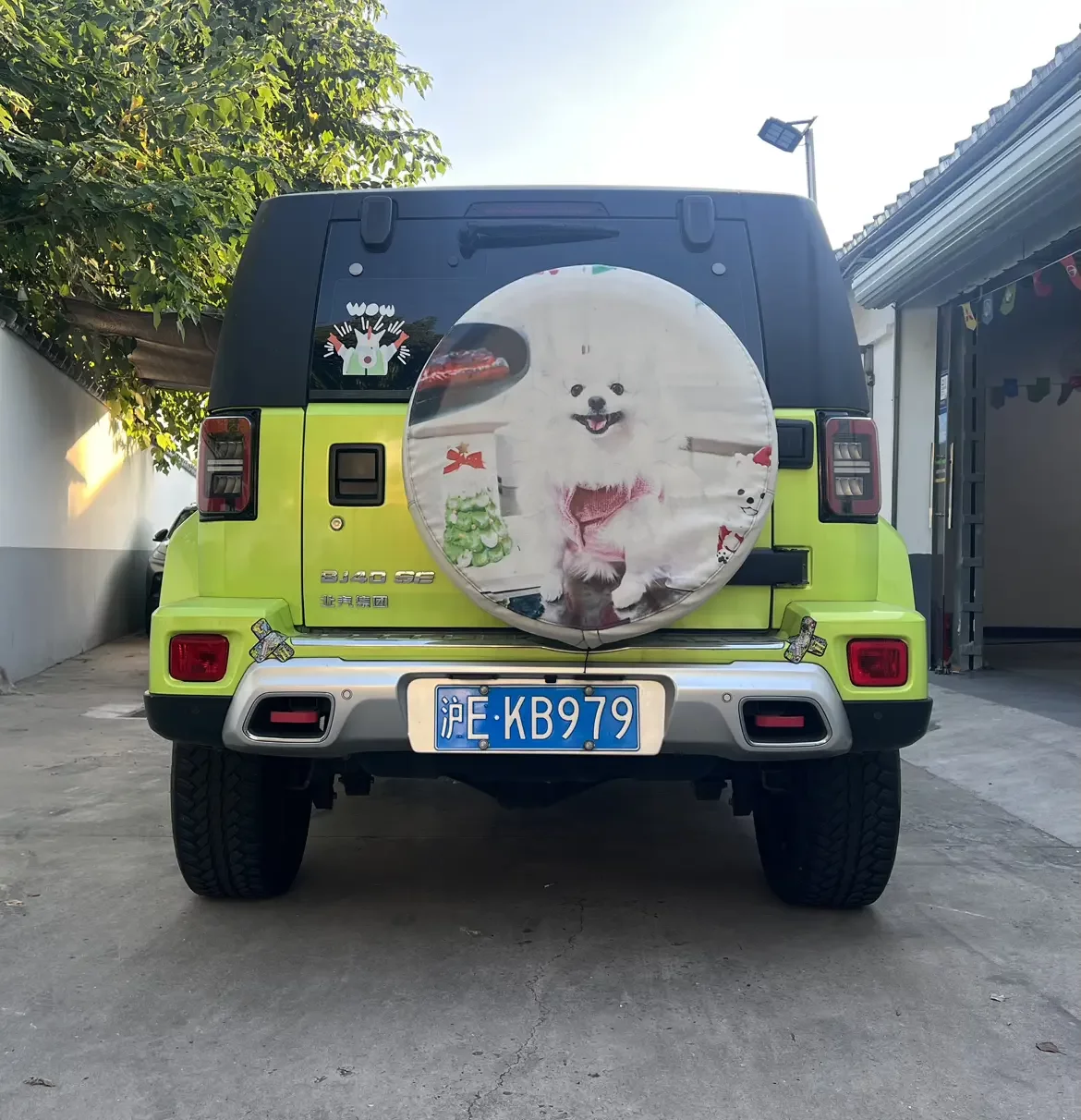catalog-car-5