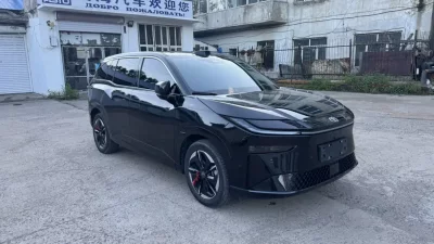 Toyota Bozhi 3X