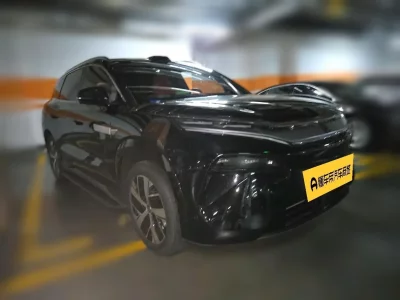 BYD Tang L DM