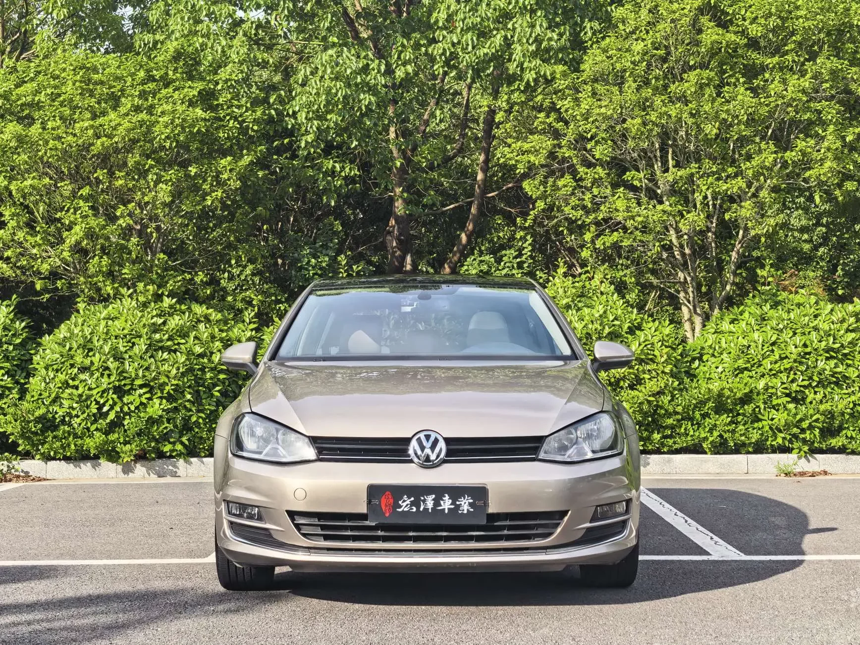 Volkswagen golf  из Китая