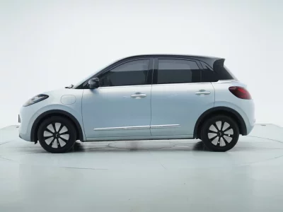 Wuling Bingo