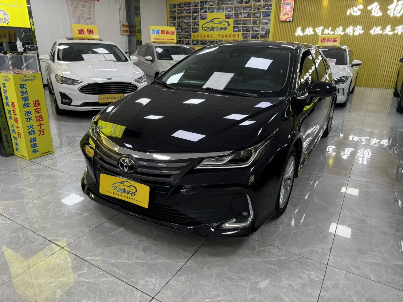 Toyota Asiatic lion