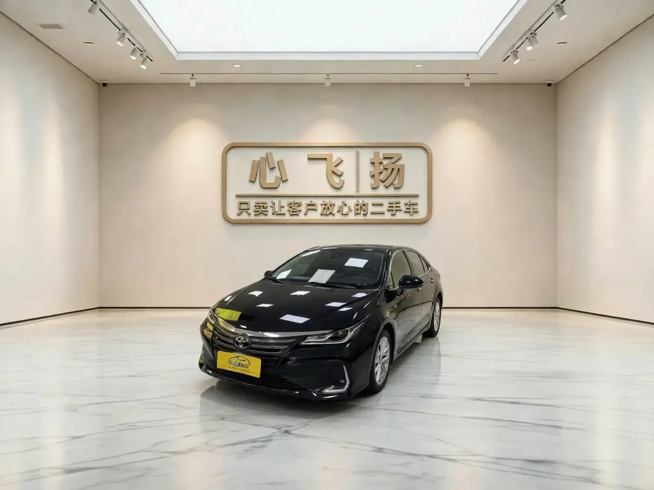 Toyota Asiatic lion