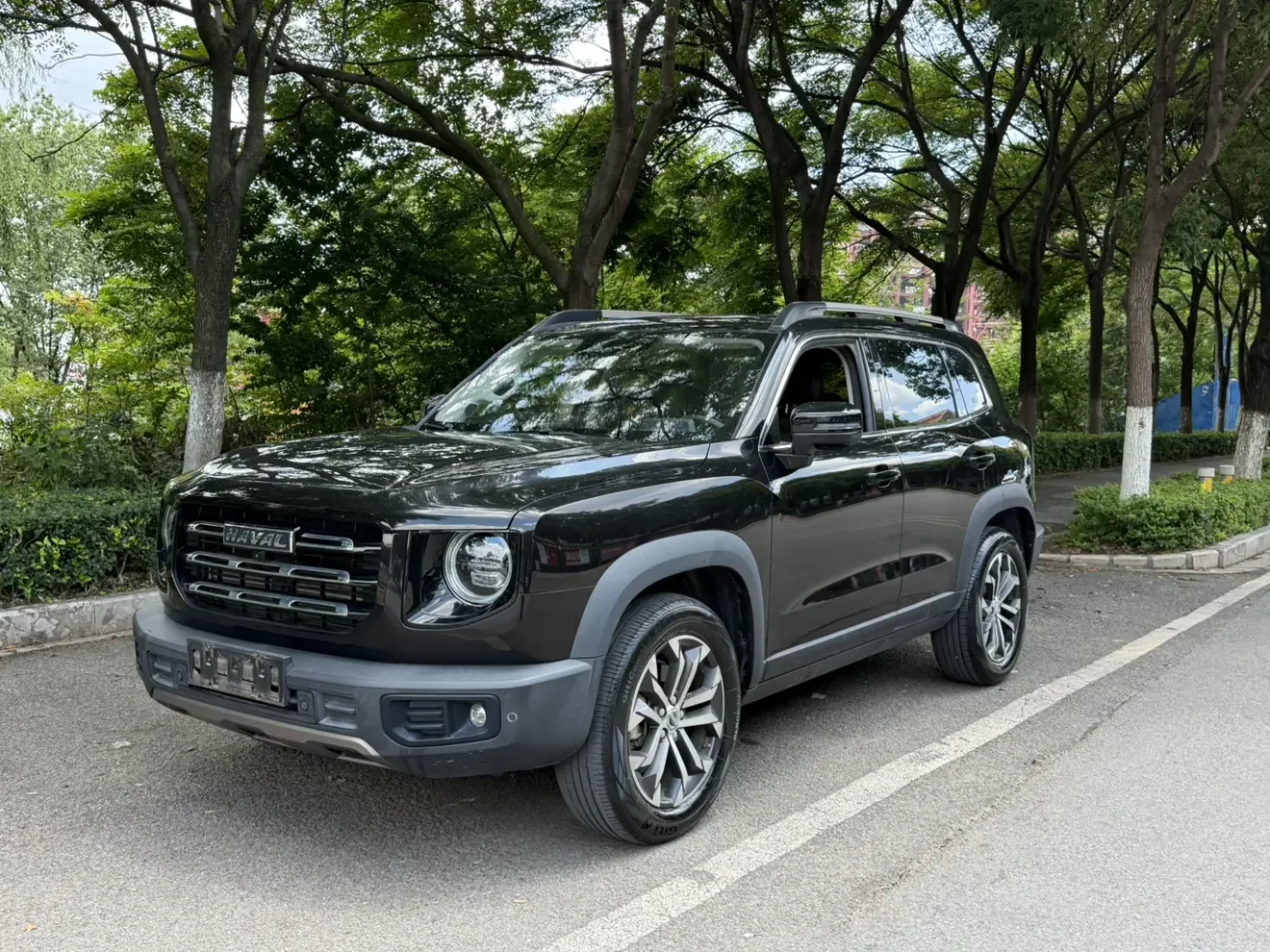 Haval Dargo