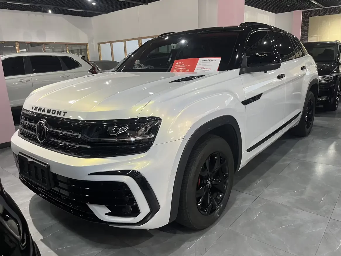 VOLKSWAGEN TERAMONT