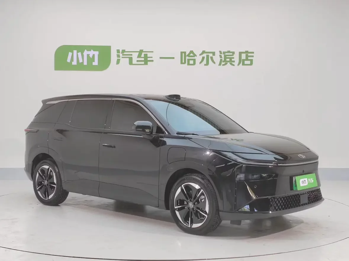 Toyota Bozhi 3X