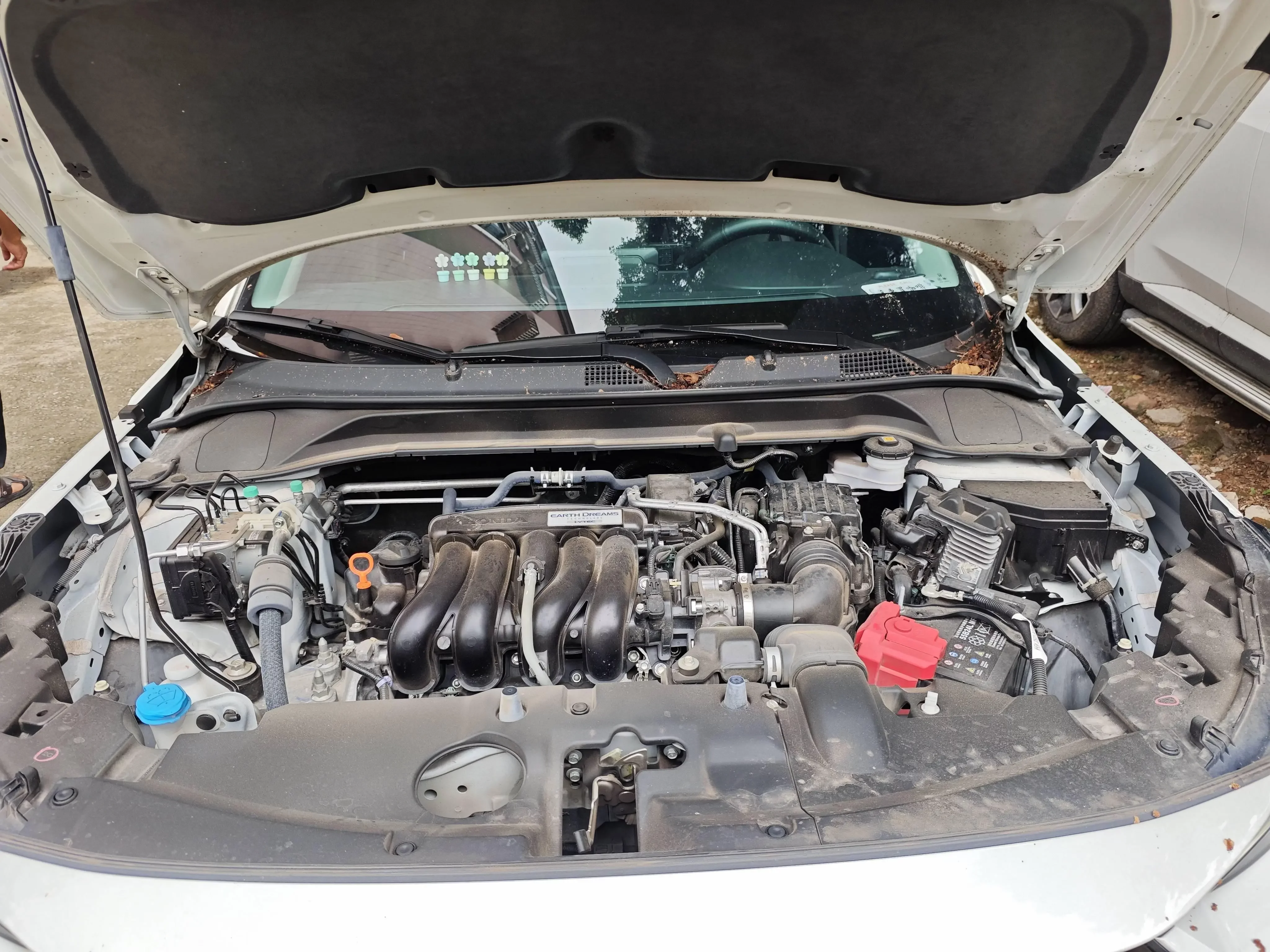 catalog-car-20