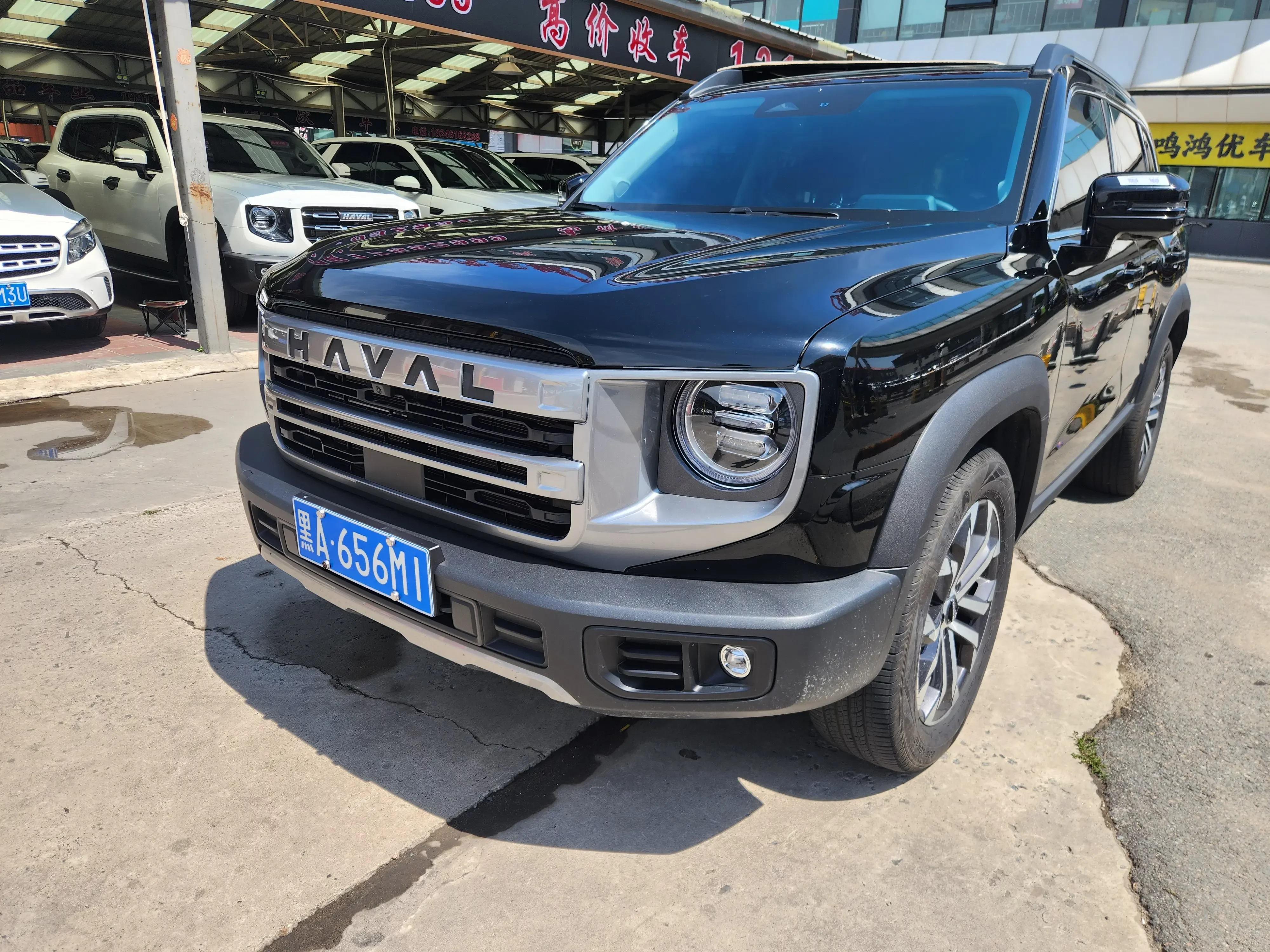 Haval Dargo