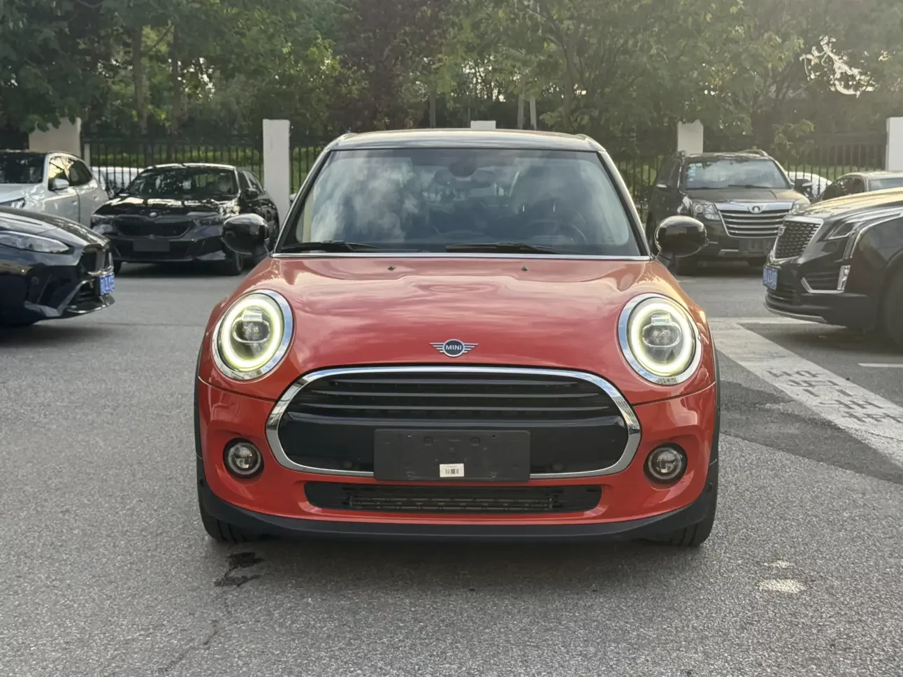 MINI 