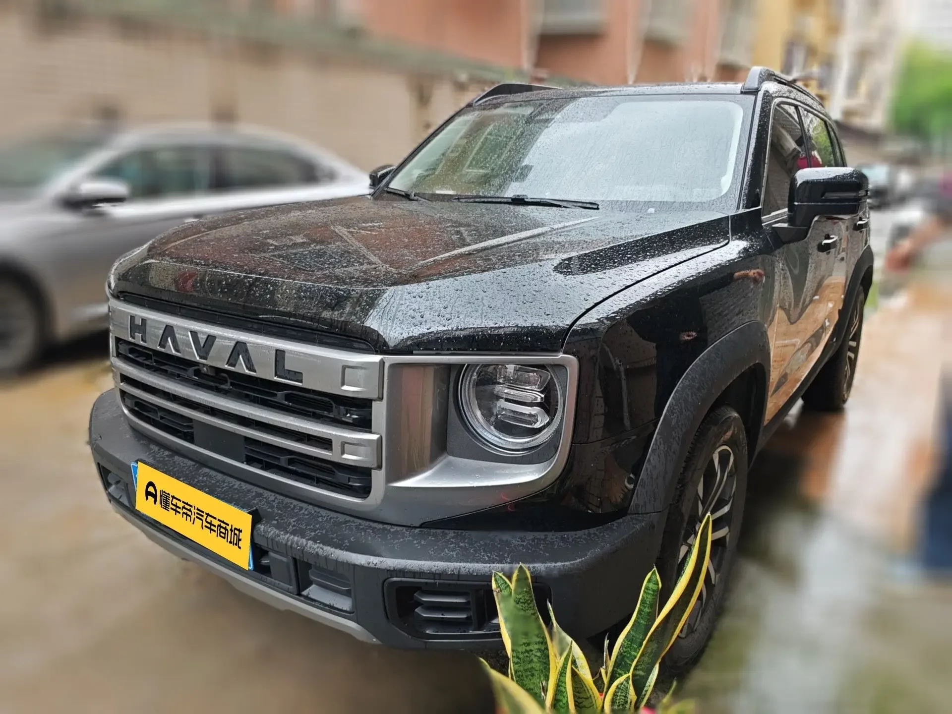 Haval Dargo