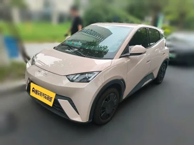 BYD Seagull