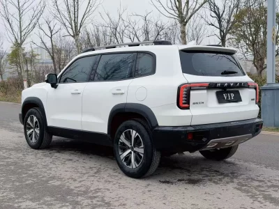 Haval Big Dog DaGou