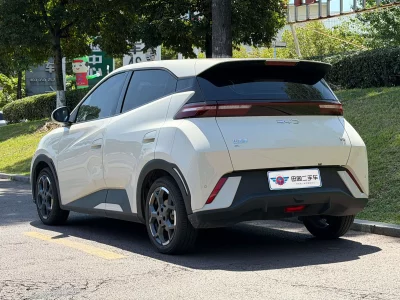 BYD Seagull