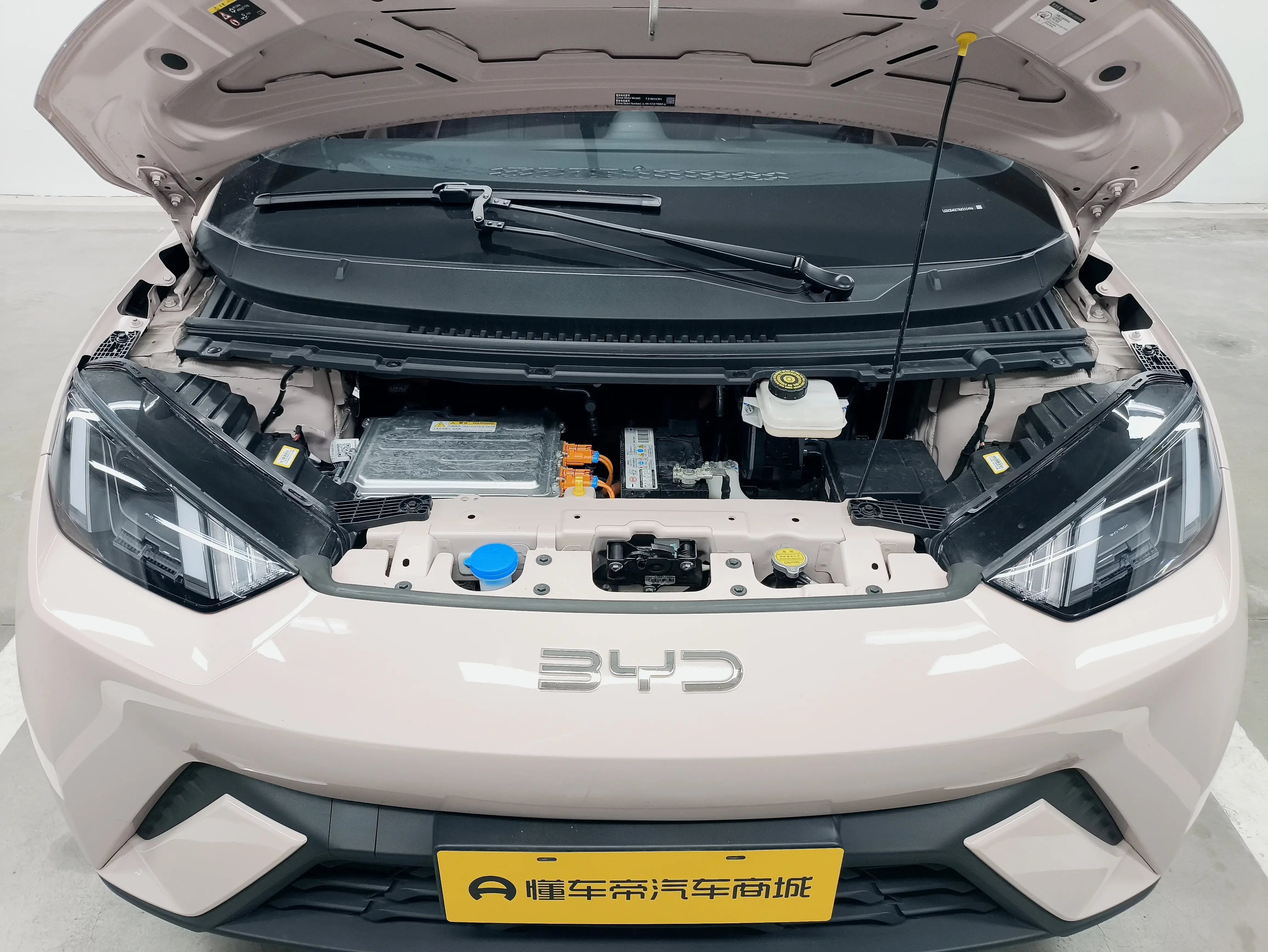 catalog-car-10