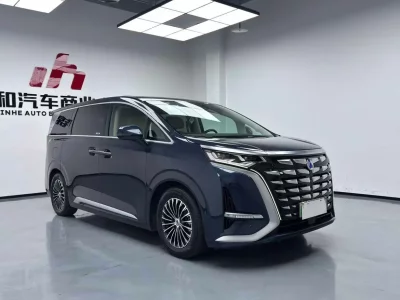 Denza D9 DM