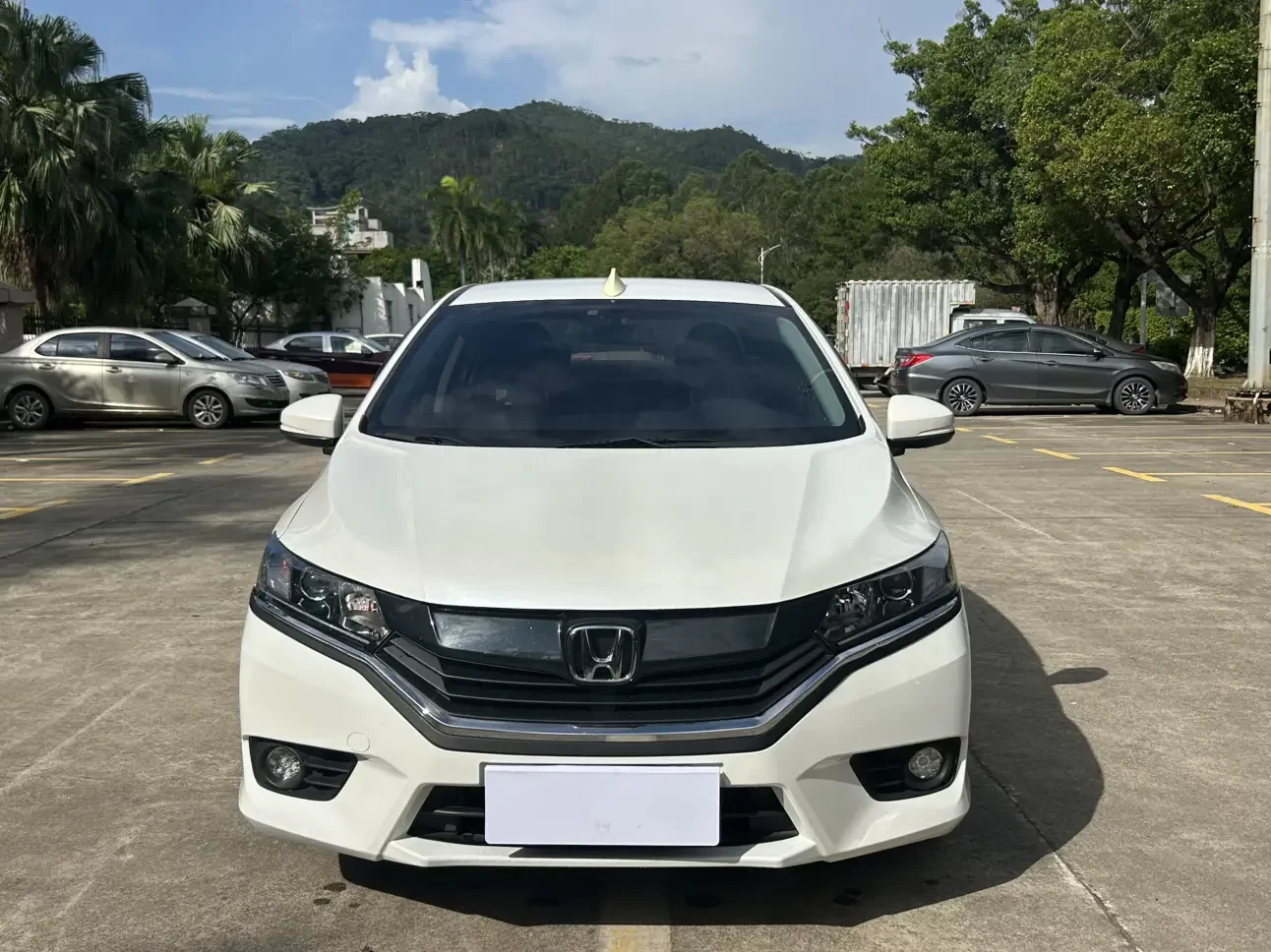 Honda Gray