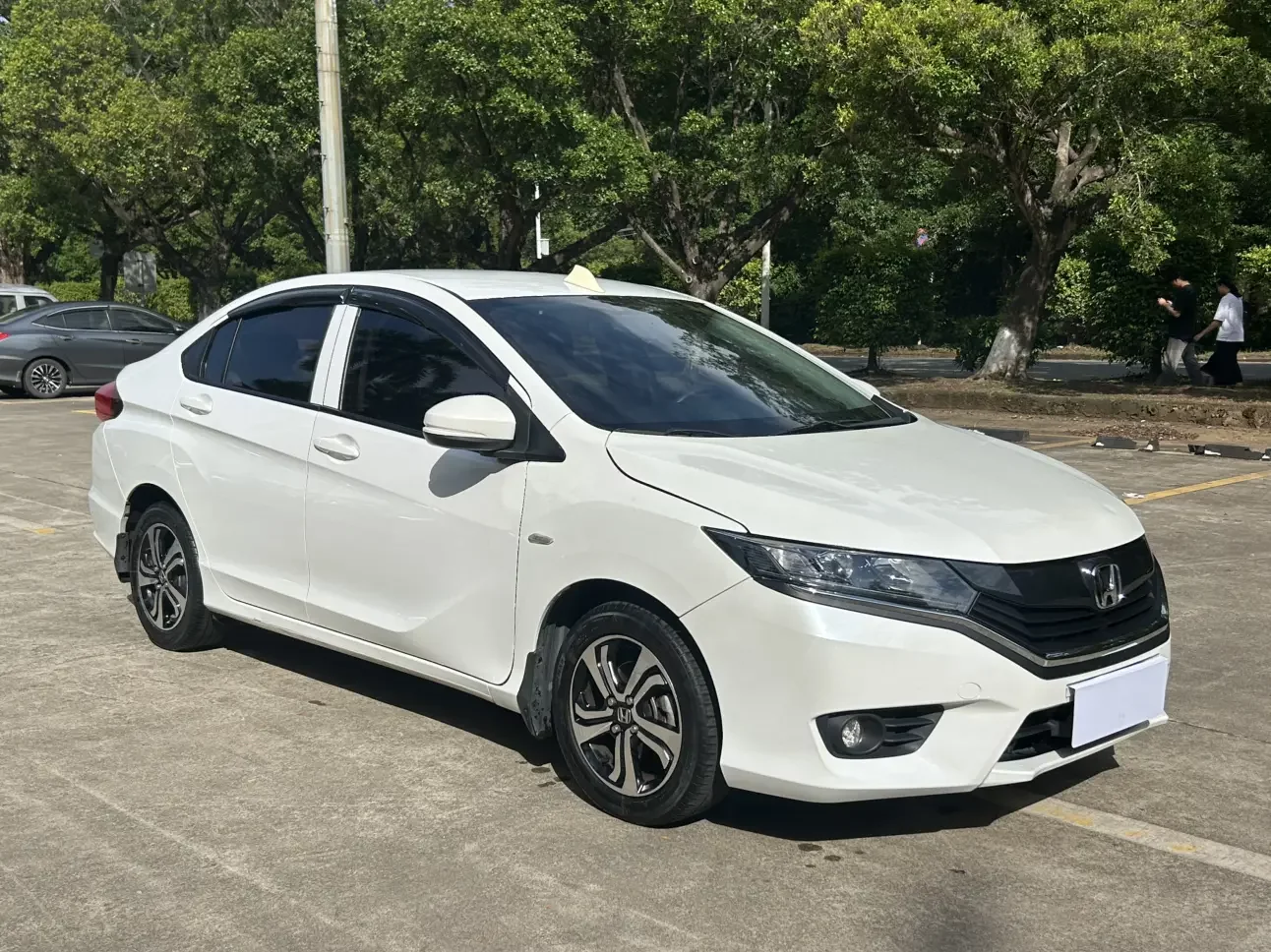 Honda Gray