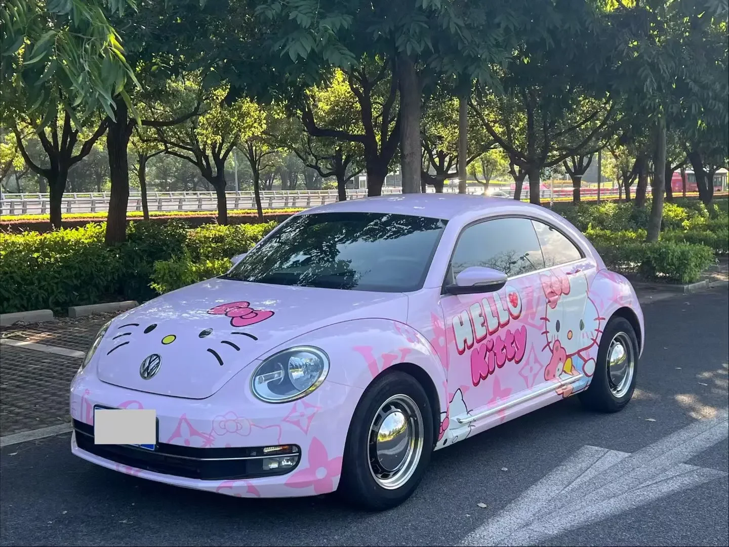 Volkswagen Beetle