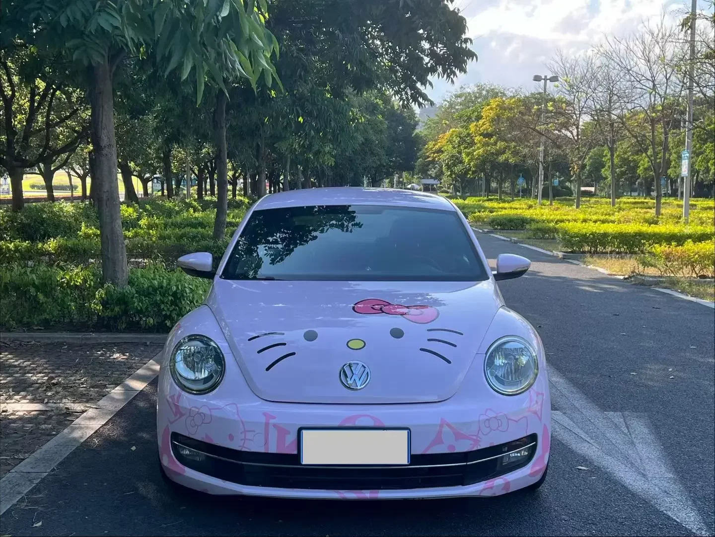 Volkswagen Beetle