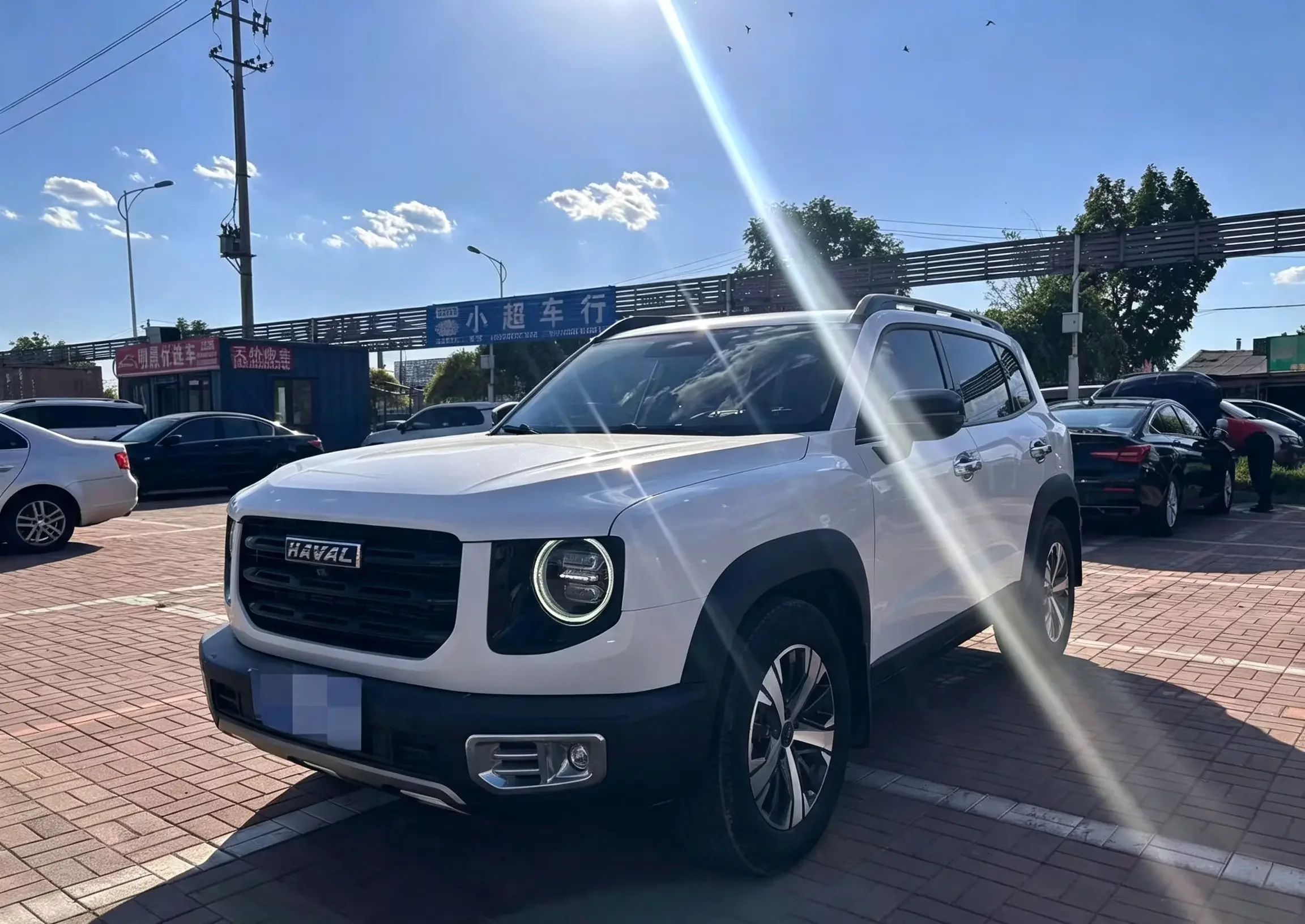 Haval Dargo