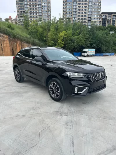 Wey Wei brand VV5