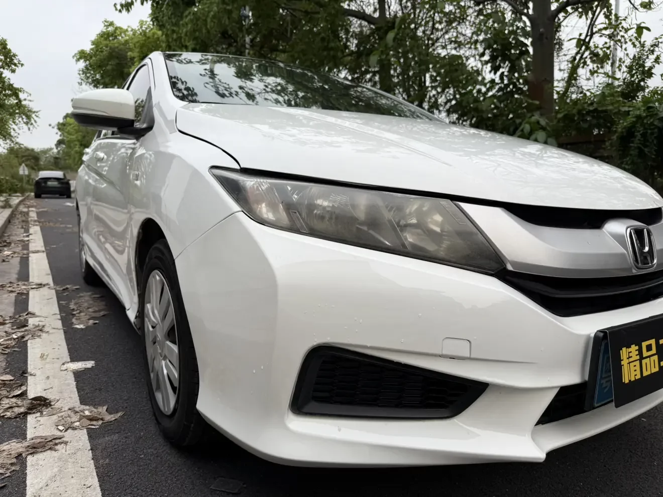 Honda Feng Fan