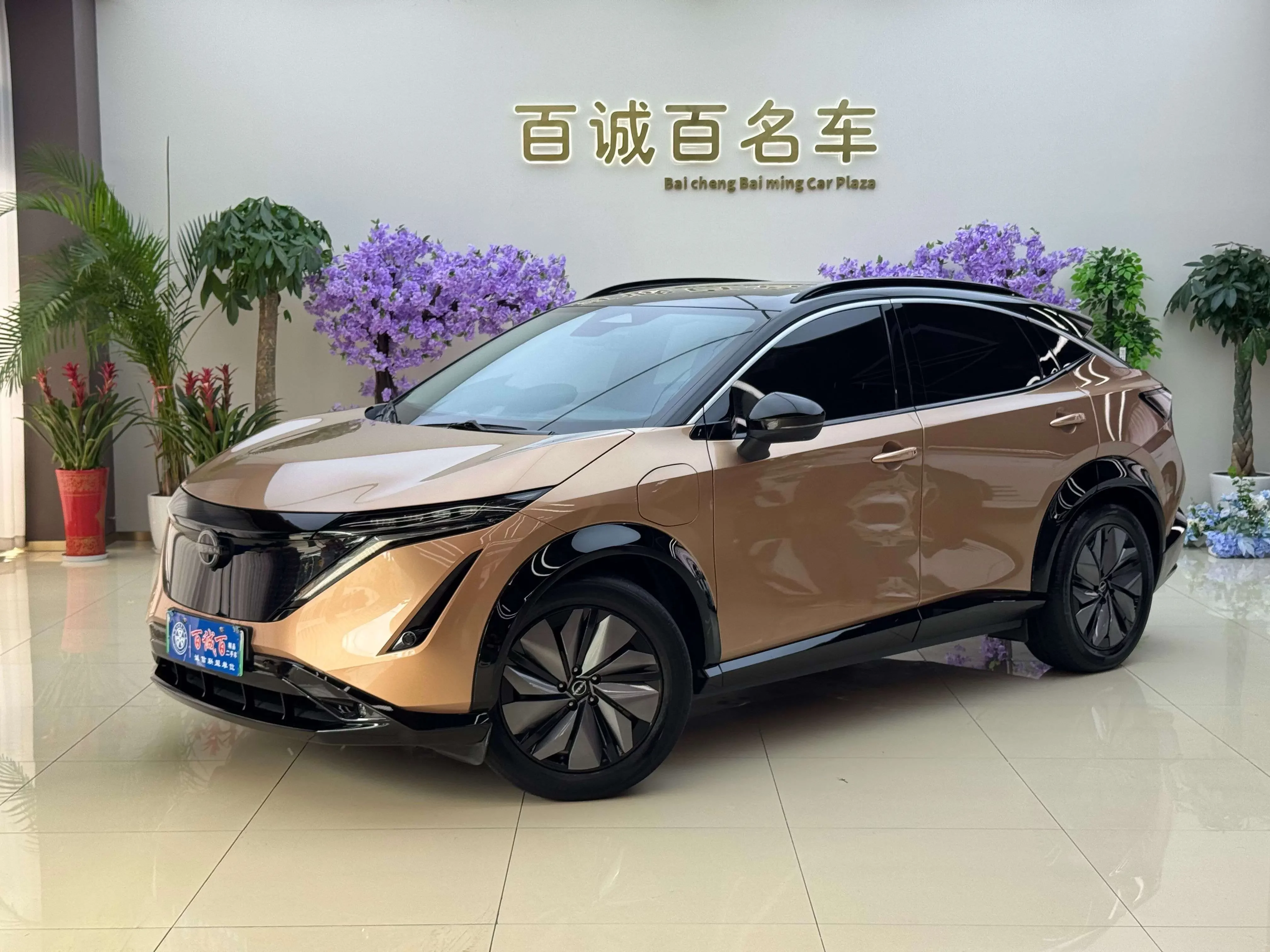 NISSAN ARIYA
