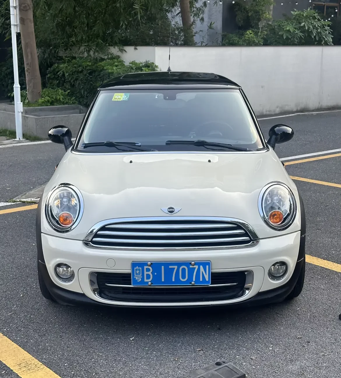 MINI 