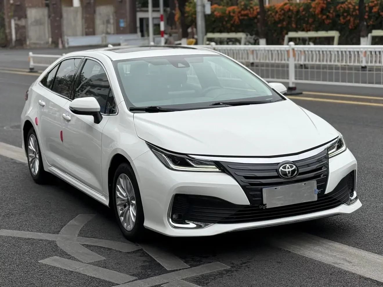 Toyota Asiatic lion