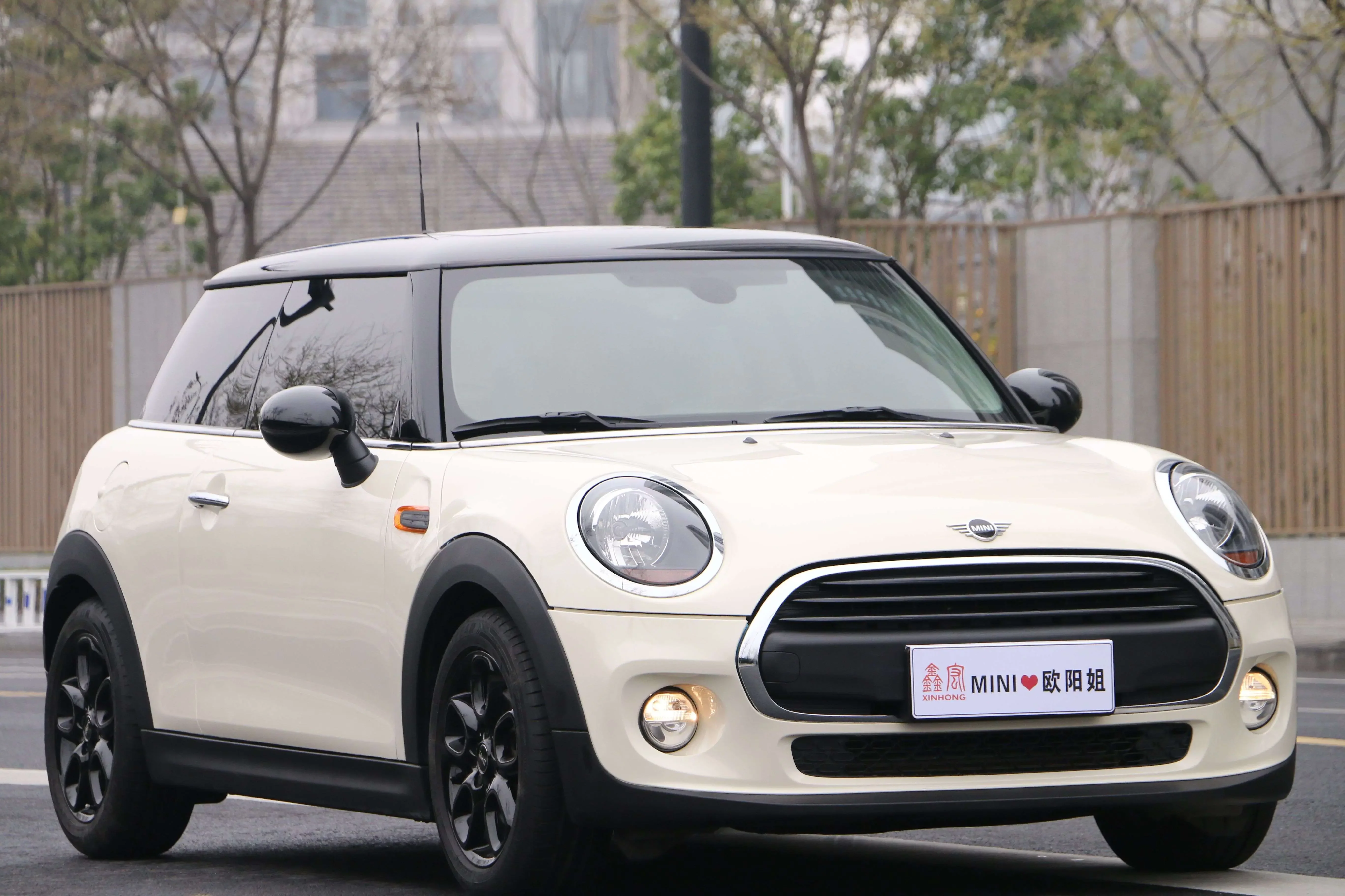 MINI 