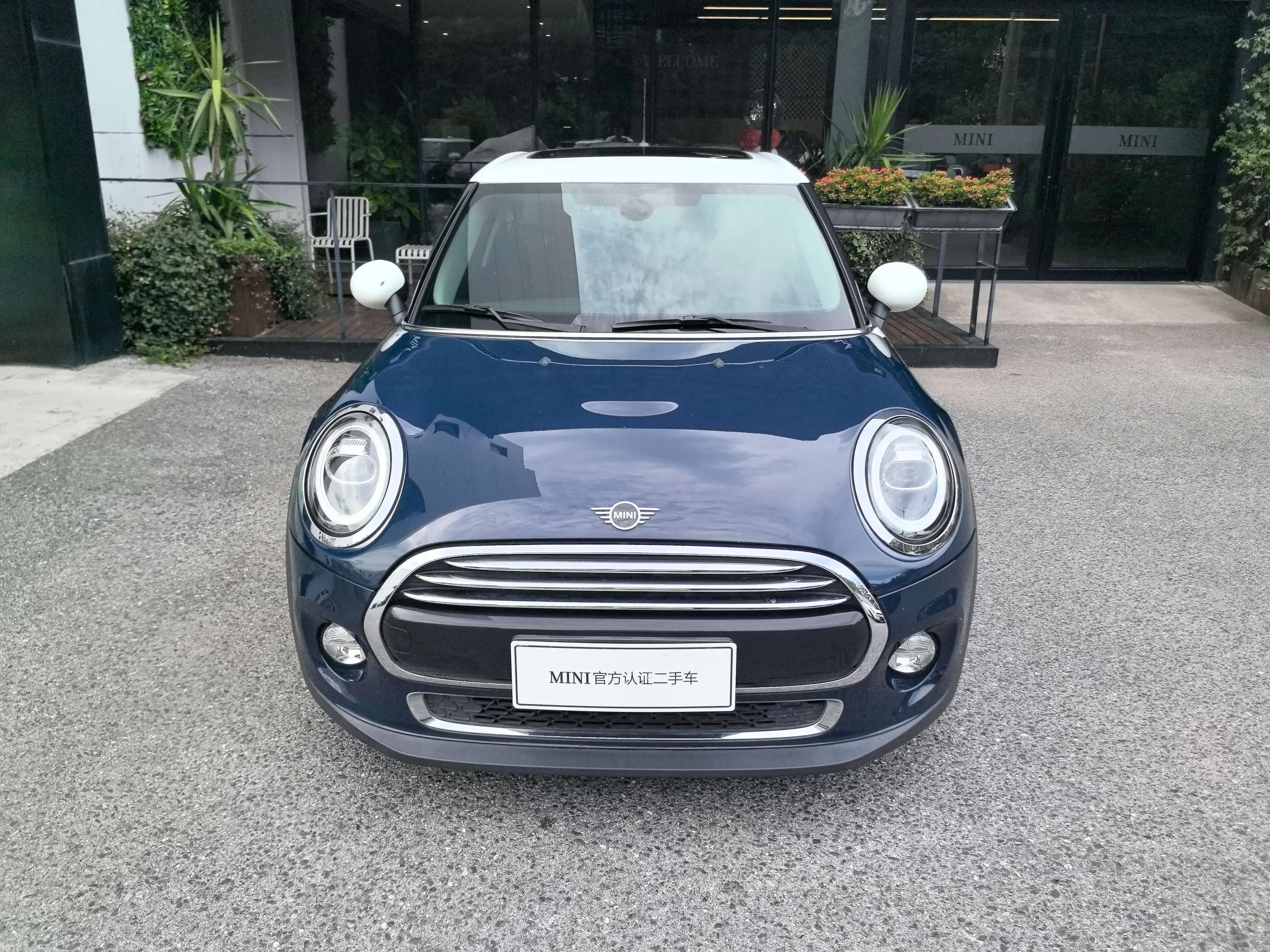 MINI 