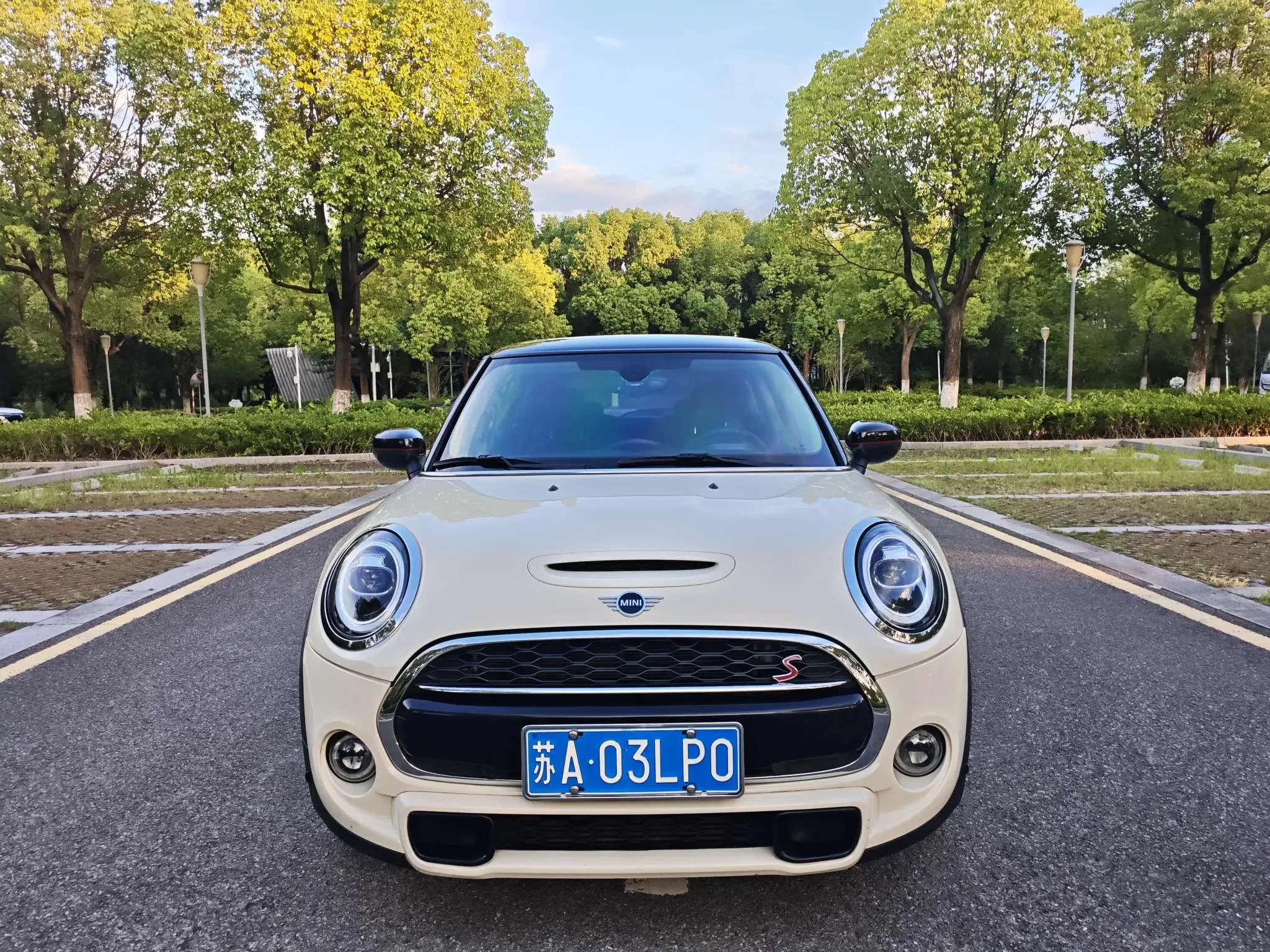 MINI 
