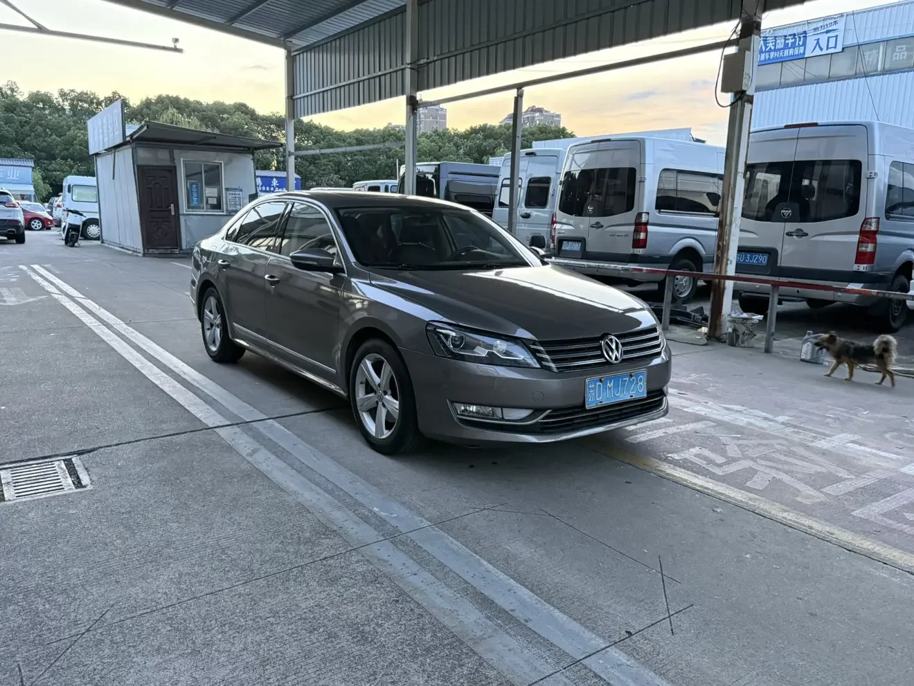 Volkswagen Passat