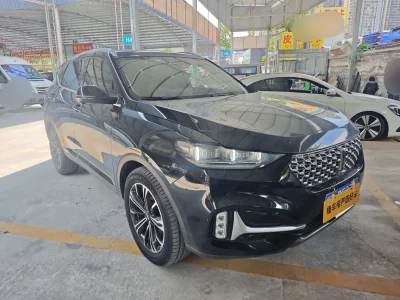 Wey Wei brand VV6