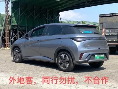 BYD Dolphin