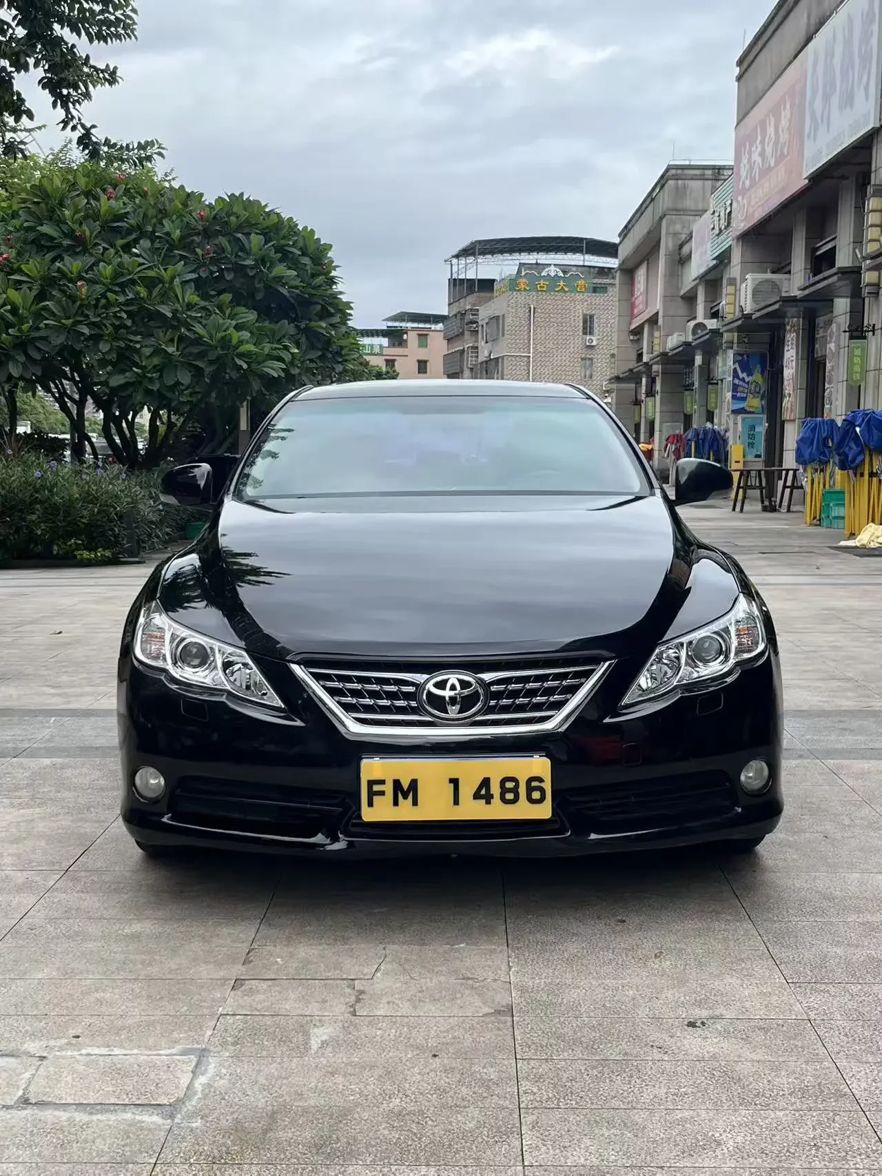 Toyota Ruizhi