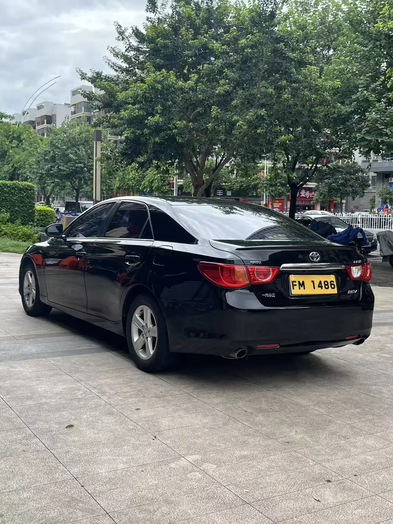 Toyota Ruizhi