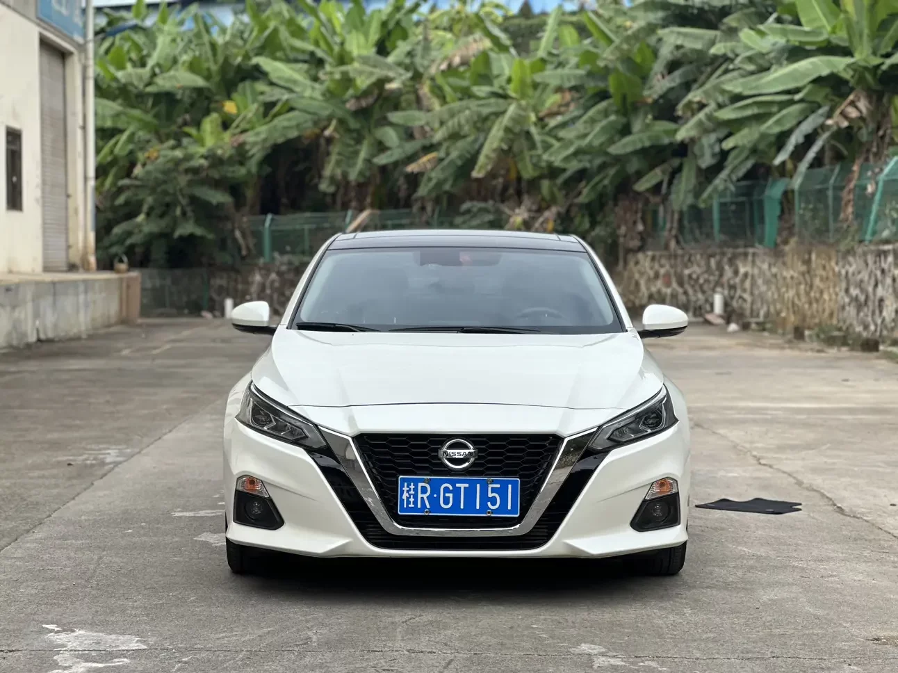 Nissan Altima (Teana)