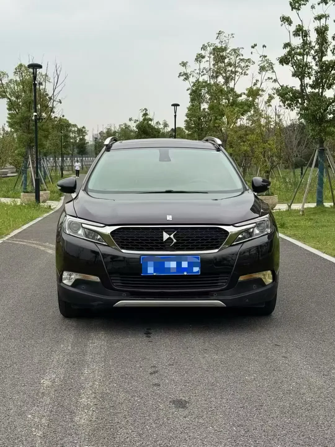 DS 6