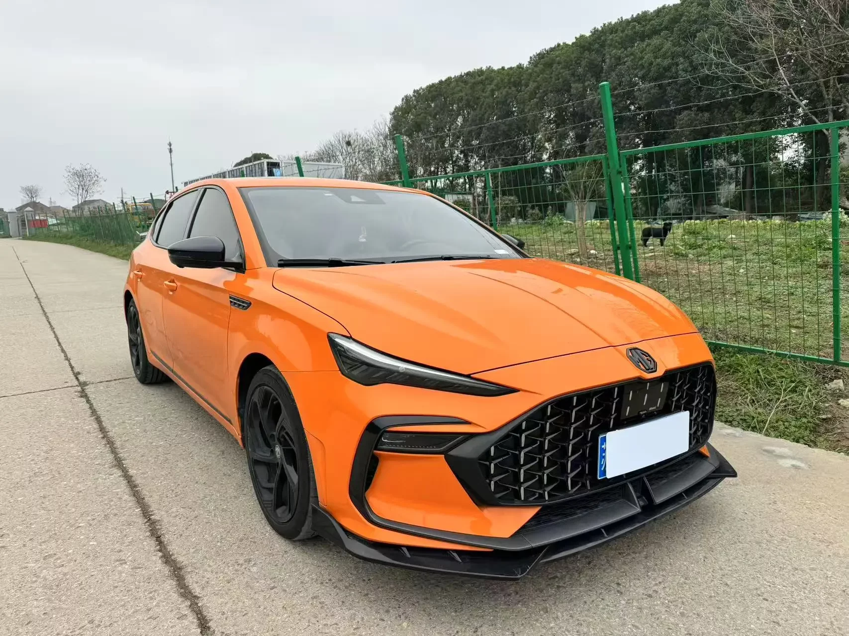 MG 6