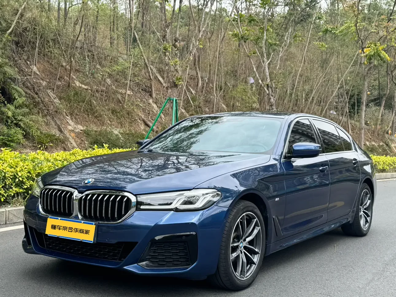 BMW 5 Series 2022