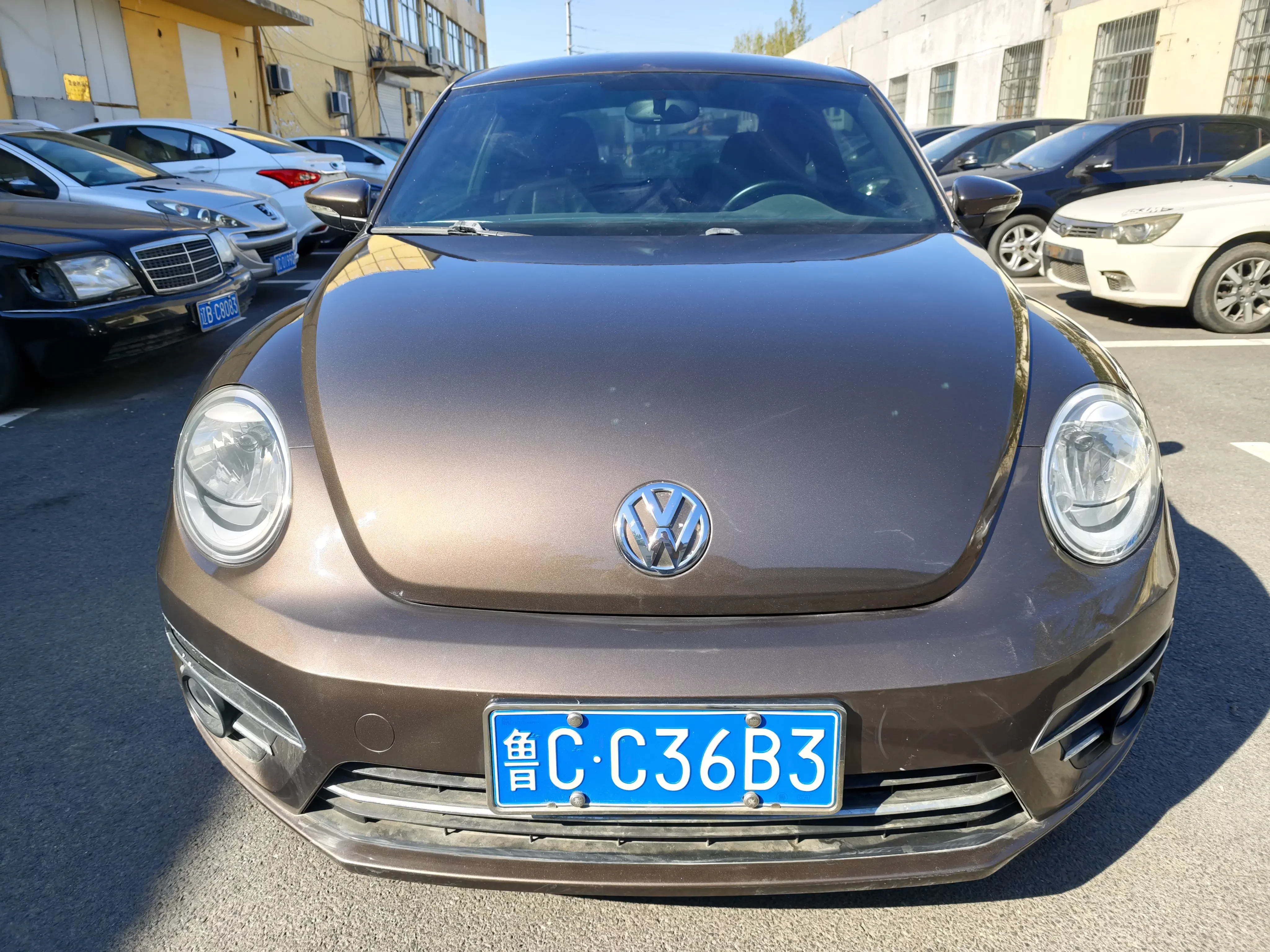 Volkswagen Beetle