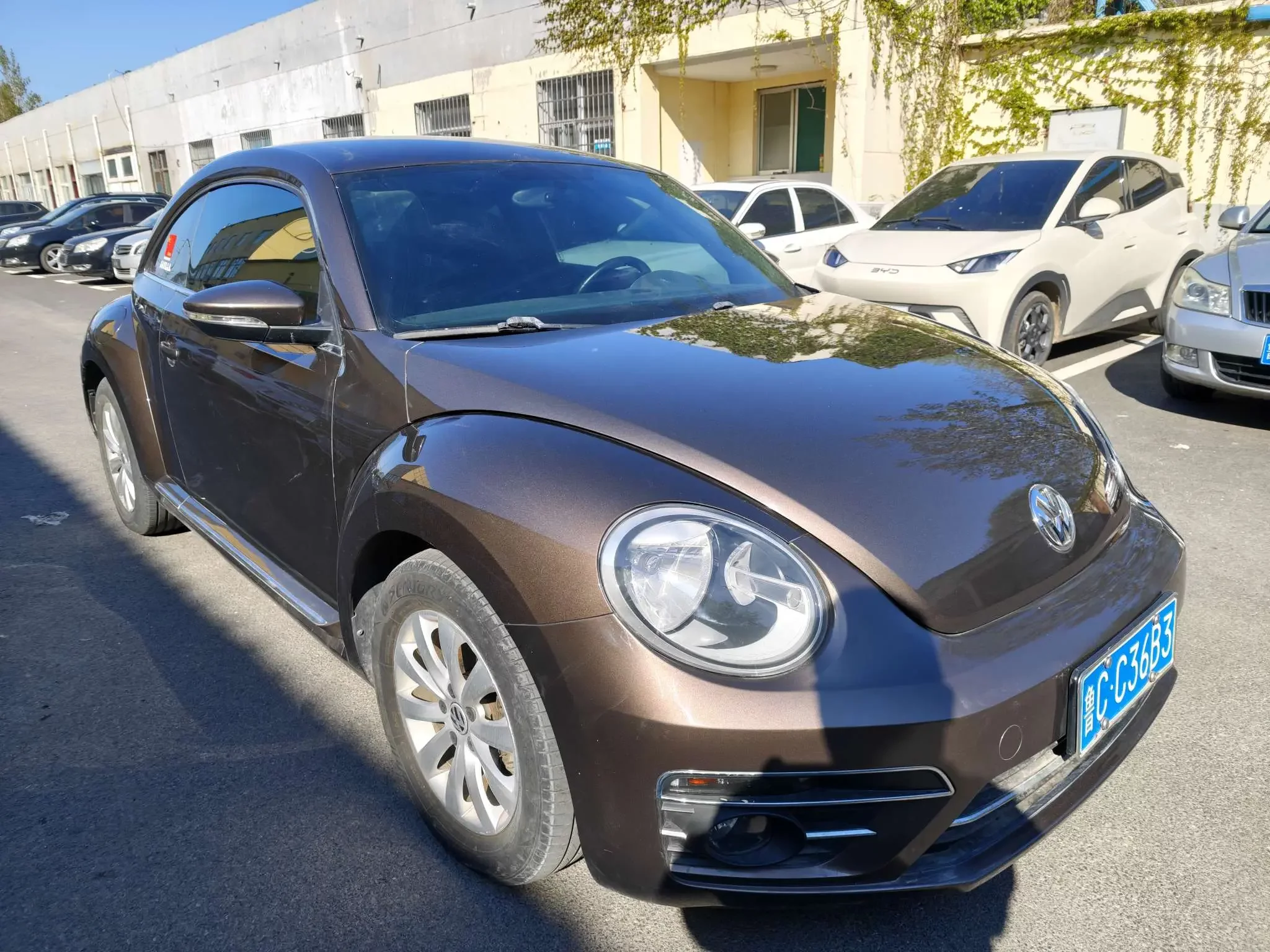 Volkswagen Beetle